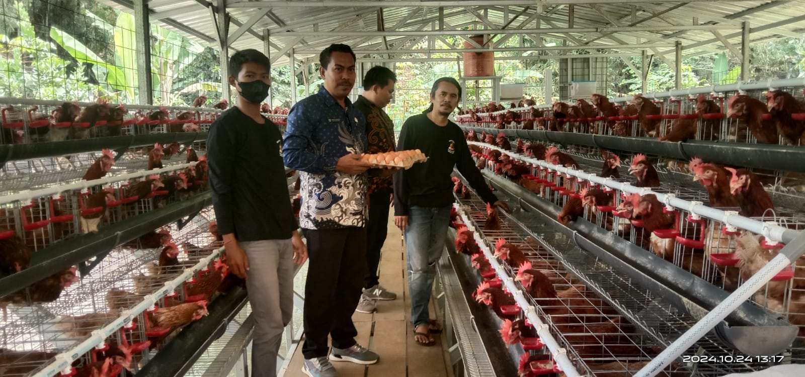 Pemdes Desa Ciadeg Salurkan 860 Ekor Ayam Telor dan Lele Untuk Atasi Stunting Dan Gizi Buruk